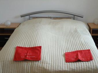 Vakantiewoning Belegiš Milieu Vakantiewoning Belegiš Milieu