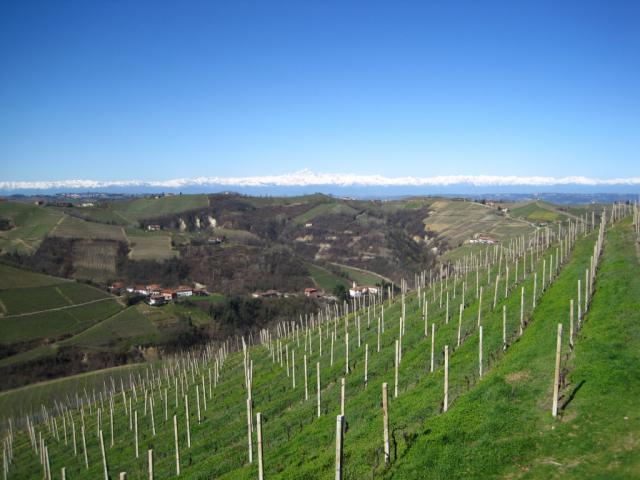 Bricchetto Langhe:Cà der Forn - Pihenőház Nappali szoba Bricchetto Langhe:Cà der Forn - Pihenőház Nappali szoba