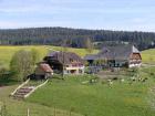Mooshof - der Ferienhof - Semesterlägenhet Schramberg-Tennenbronn