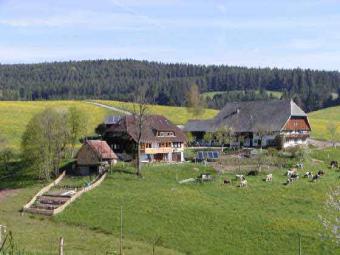 Ferieleilighet Schramberg-Tennenbronn Omgivelsene Ferieleilighet Schramberg-Tennenbronn Omgivelsene
