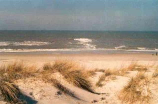 Ferienhaus Albatros - Vacation Home Surrounding Ferienhaus Albatros - Vacation Home Surrounding