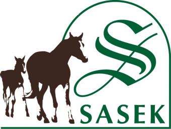 Квартира SASEK MALY nahe Ortelsburg Развлечения Квартира SASEK MALY nahe Ortelsburg Развлечения