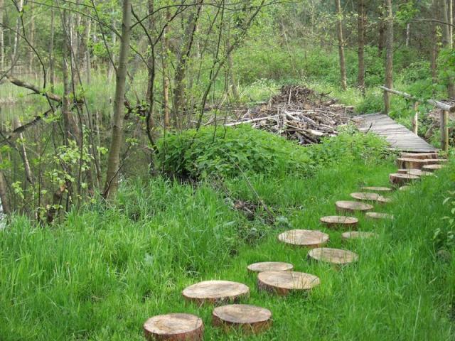 Waldpension ADLER - комната свободное время