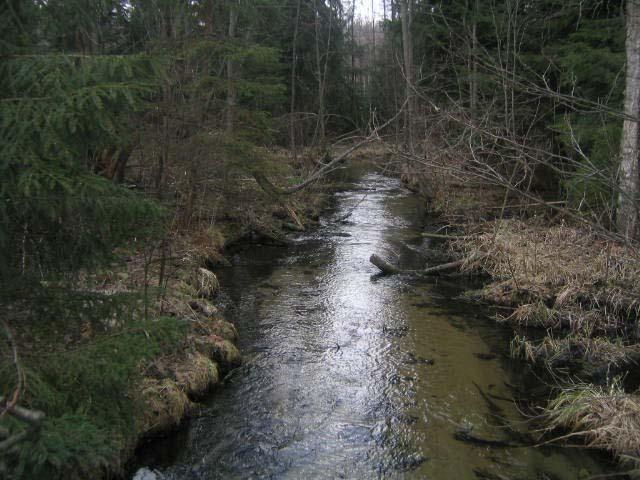 Waldpension ADLER - комната свободное время