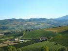 Agriturismo Biologico  - Квартира Ortezzano