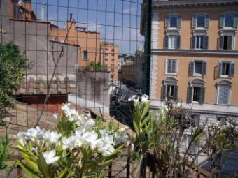 Ferienwohnung Coliseum penthouse Umgebung Ferienwohnung Roma Umgebung