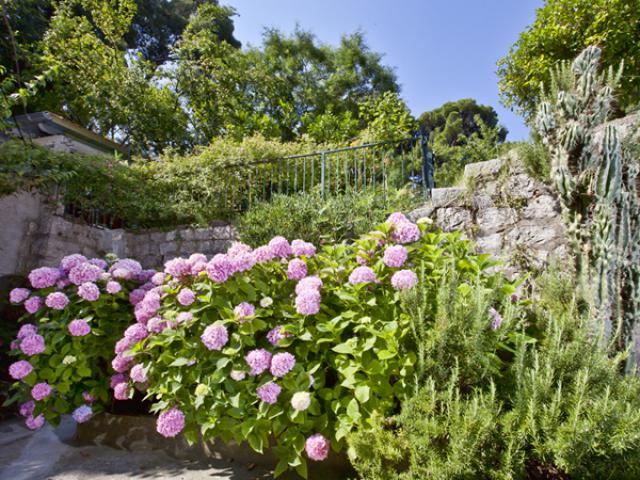 Park Gradac next to Old Town - Apartman za odmor Park Gradac next to Old Town - Apartman za odmor