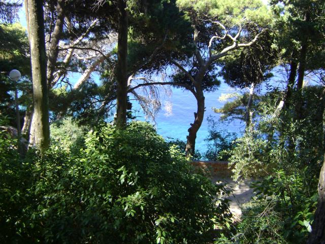 Park Gradac next to Old Town - Apartman za odmor Park Gradac next to Old Town - Apartman za odmor