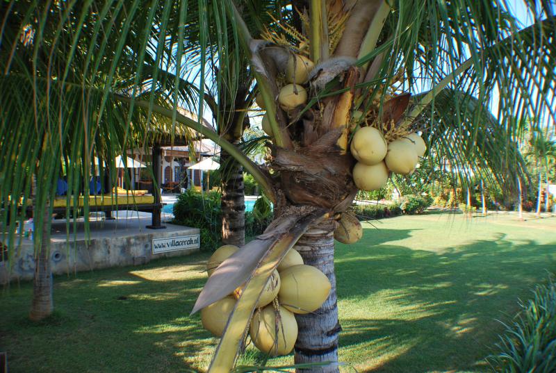 Villa Cerah, Bali - Rekreační apartmán Vana & WC