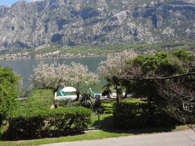 Pinebreeze - Apartamento de vacaciones 