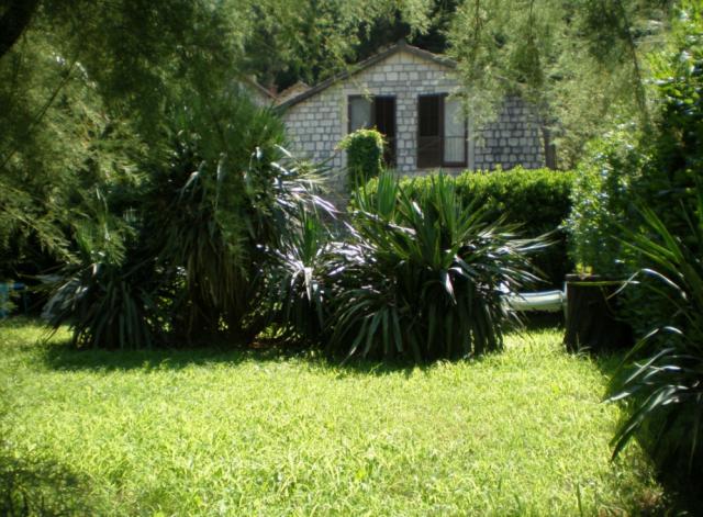Pinebreeze - Apartamento de vacaciones 