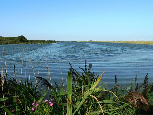 Wildrose II - Semesterhus Omgivning