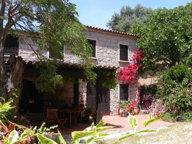 Domaine de CROCCANO B&B - Gastenkamer-Pension Milieu Domaine de CROCCANO B&B - Gastenkamer-Pension Milieu