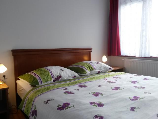 Apartmaji pri Kokolu Ble - Vacation Apartment Apartmaji pri Kokolu Ble - Vacation Apartment