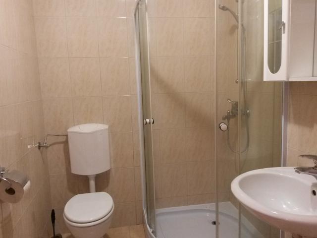 Apartmaji pri Kokolu Ble - Vacation Apartment Apartmaji pri Kokolu Ble - Vacation Apartment