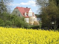 Photos for house 148