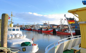 Photos for house 271