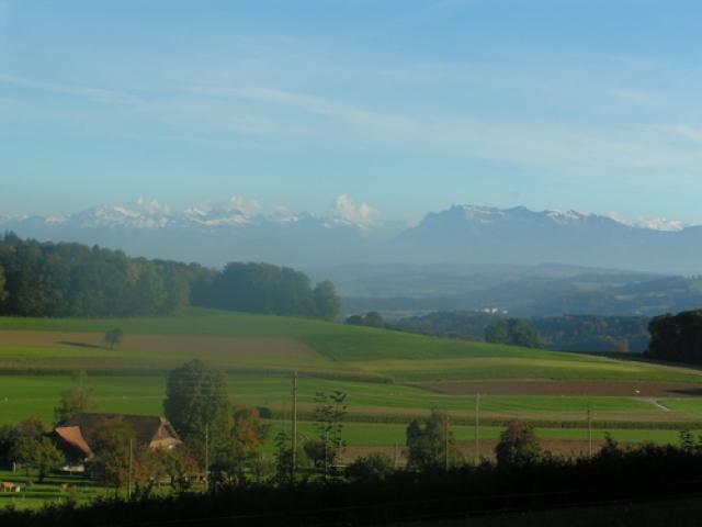 Photos for house 2753