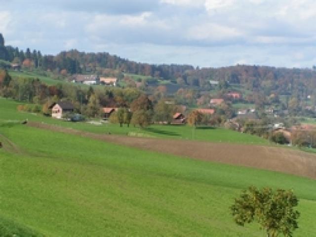 Photos for house 2753