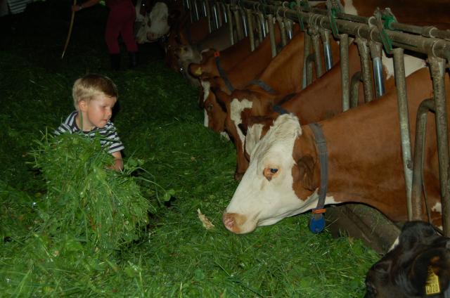 Photos for house 2753