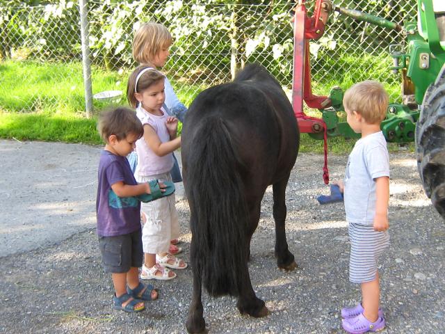 Photos for house 2753