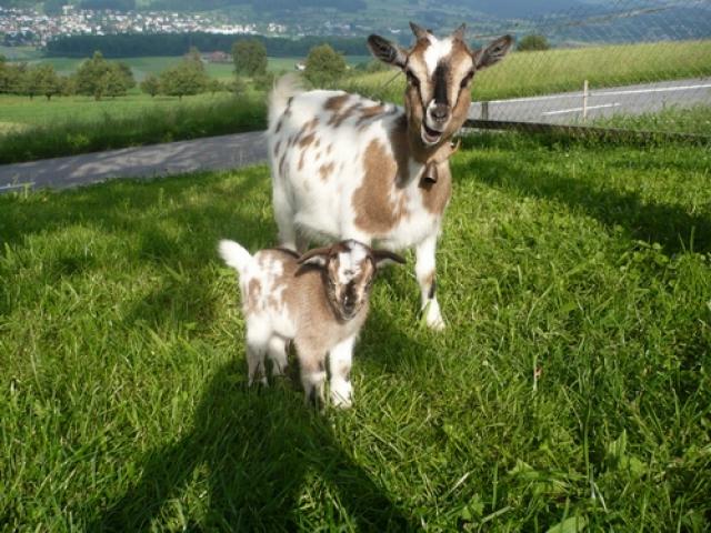 Photos for house 2753