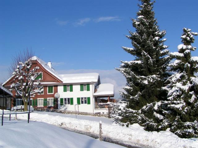 Photos for house 2753