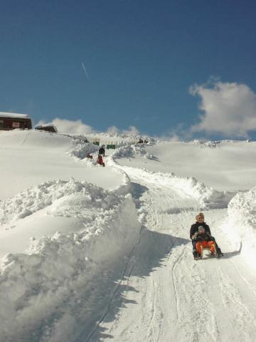 Photos for house 2917