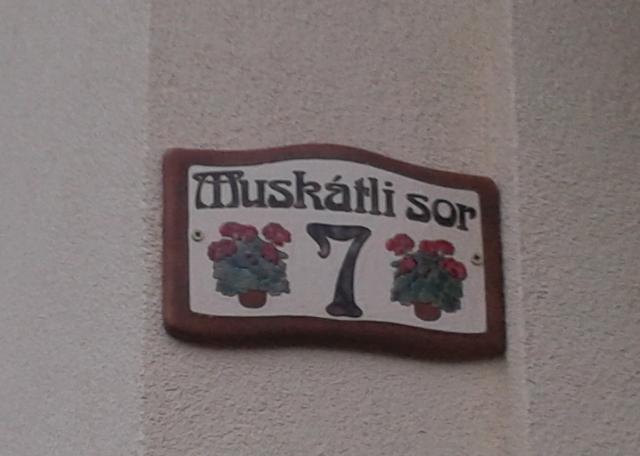 Photos for house 2938