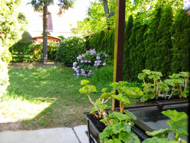 Photos for house 2938