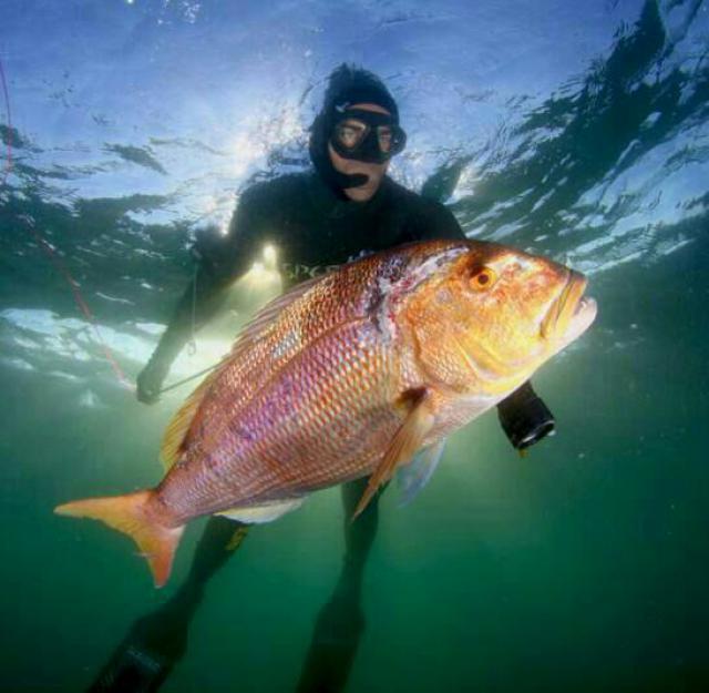 Photos for house 2991