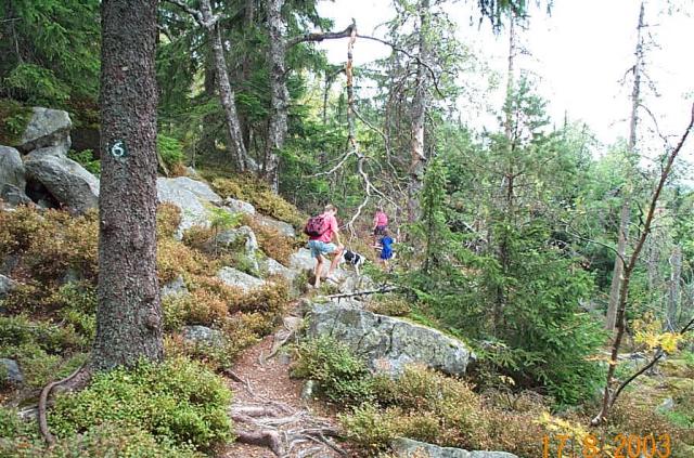 Photos for house 3039