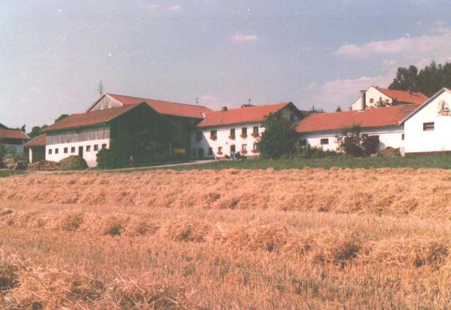 Photos for house 3039