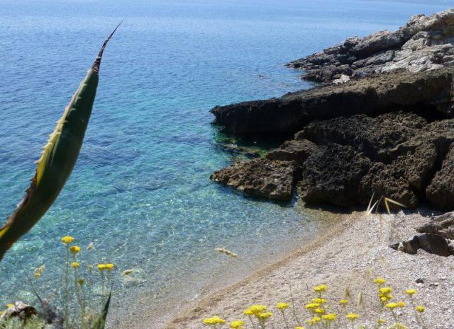 Photos for house 3076