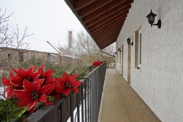 Photos for house 3184