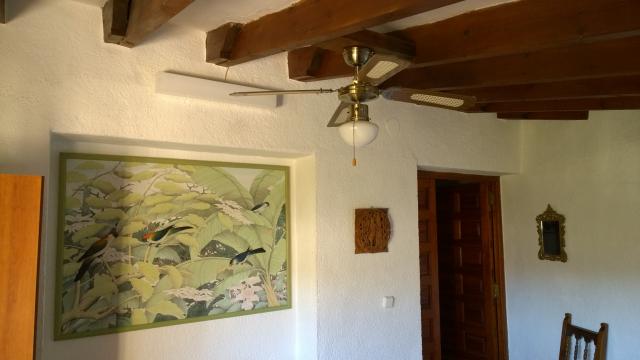 Photos for house 3236