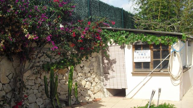 Photos for house 3236