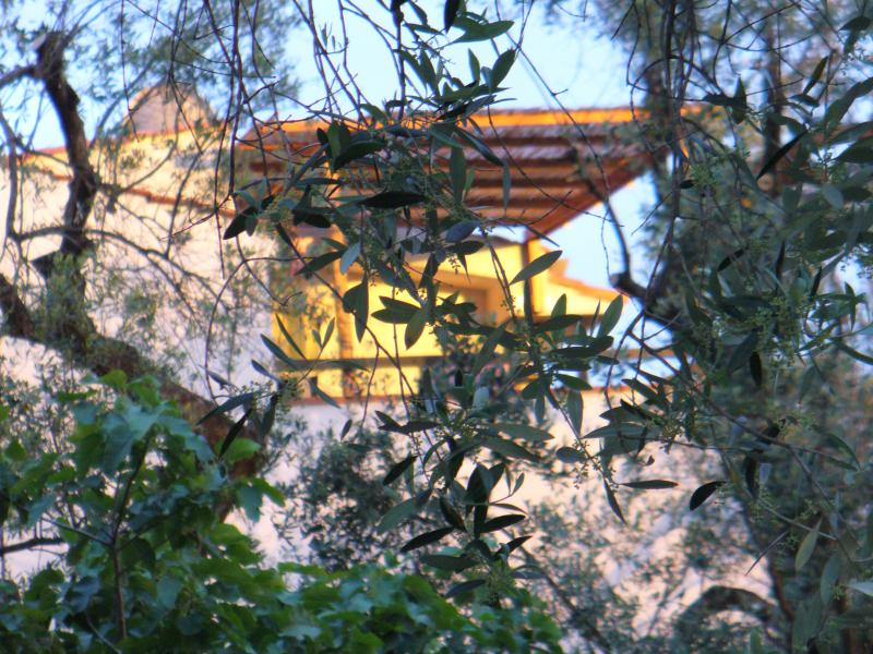 Photos for house 3248