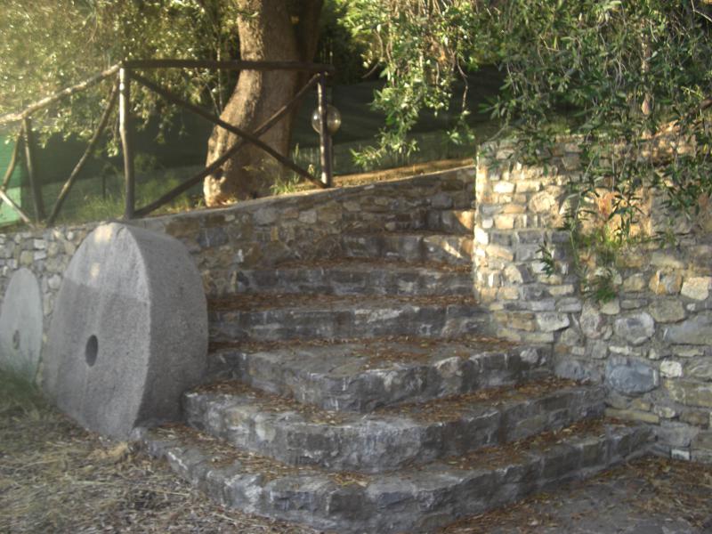 Photos for house 3248