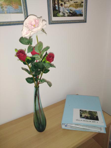 Photos for house 3248