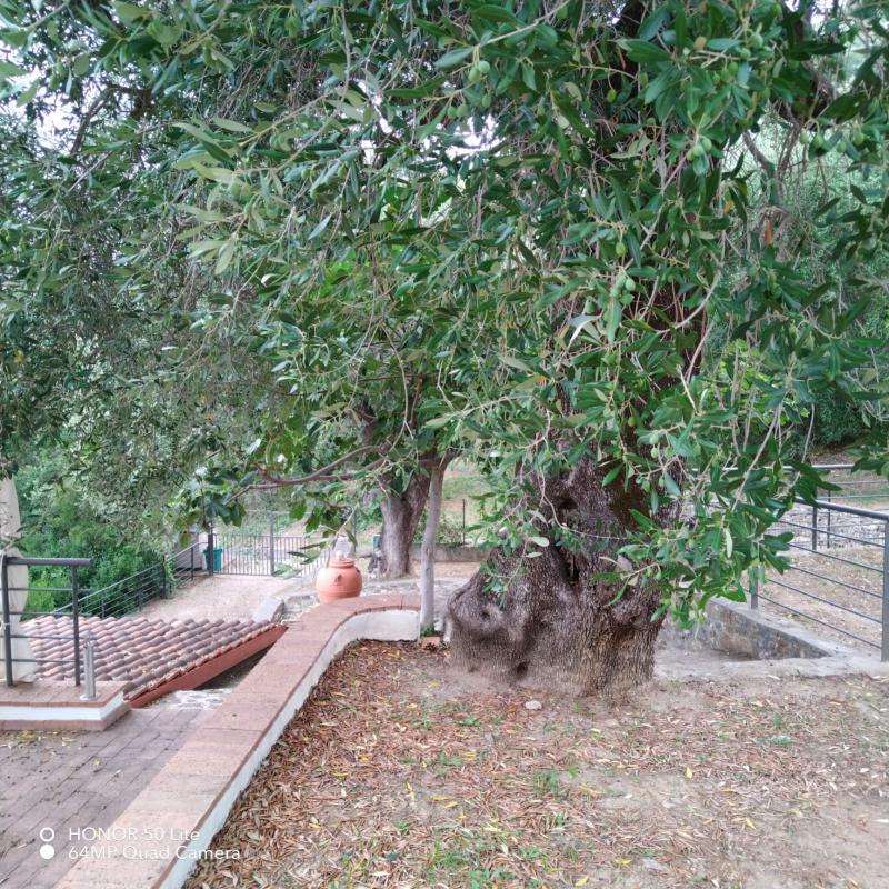 Photos for house 3248