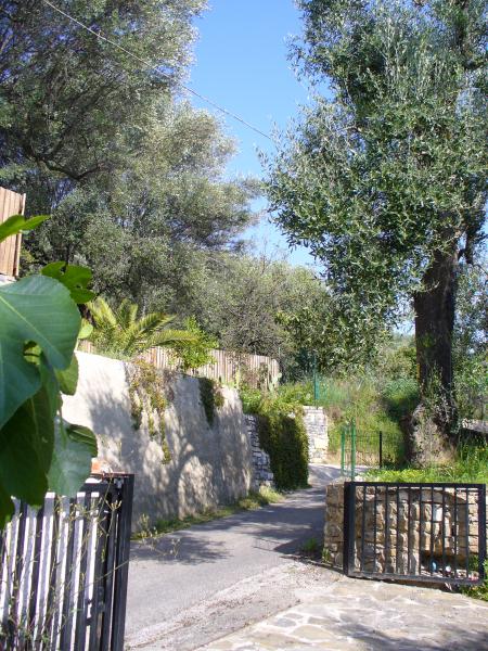 Photos for house 3248