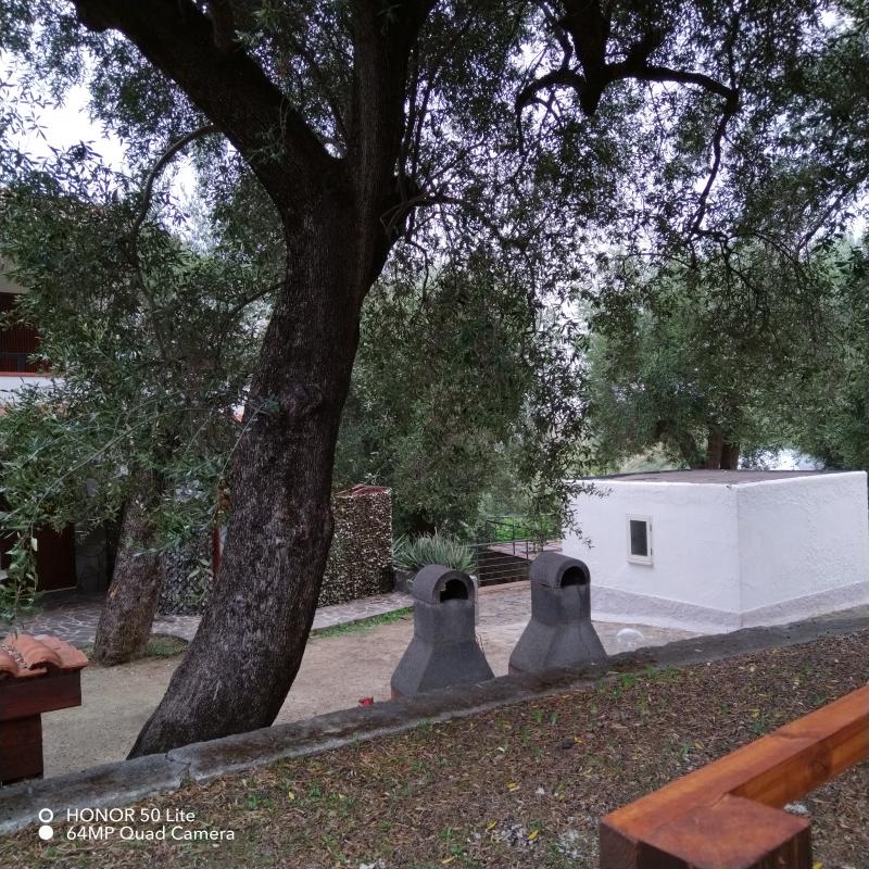 Photos for house 3248