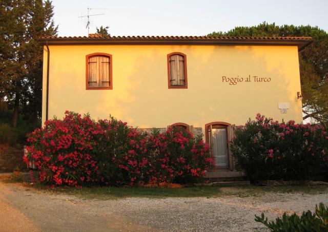 Photos for house 3254