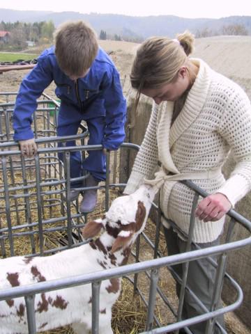 Photos for house 3305