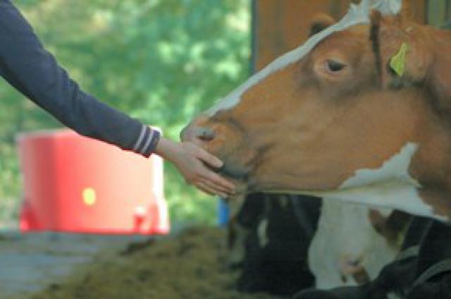 Photos for house 3305