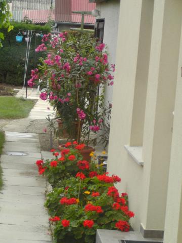 Photos for house 3328