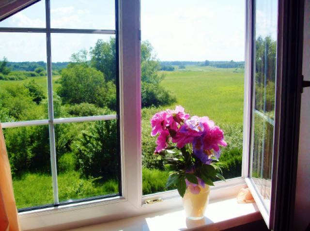 Photos for house 3338