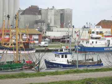 Photos for house 336