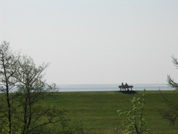 Photos for house 337